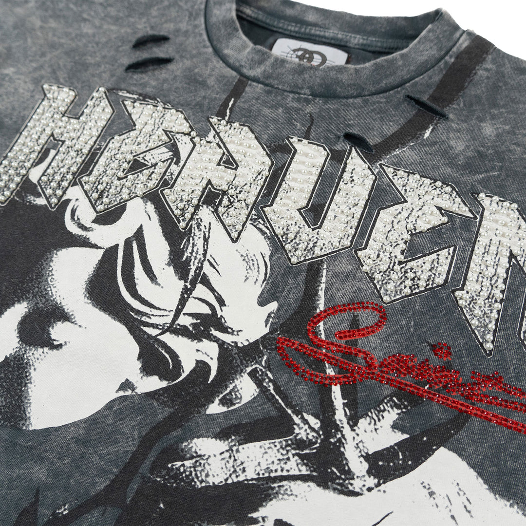 F171 Crop Heaven Saint Tee - Gray